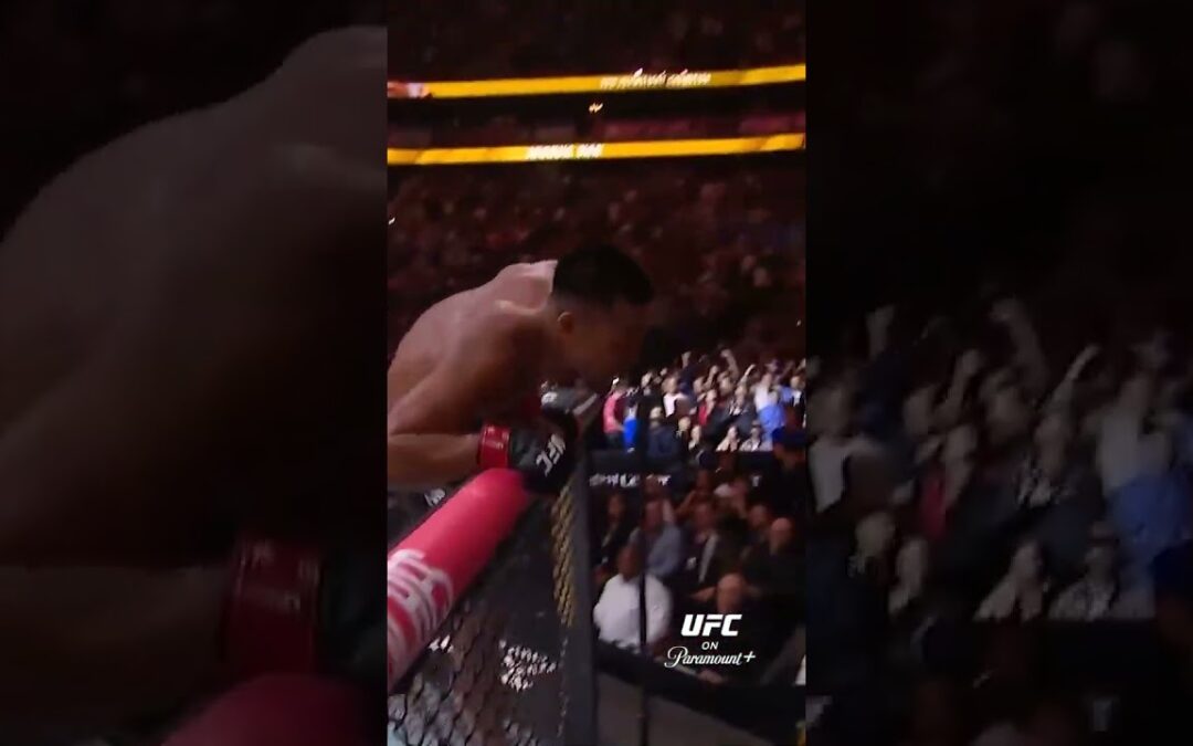 VAN GET’S THE 5TH ROUD TKO #ufc328